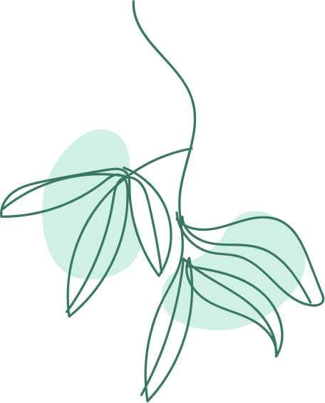 Home 9 branch02